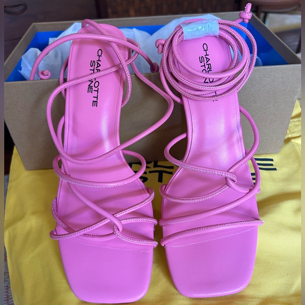 Aurora Flamingo strappy heels from Charlotte Stone!